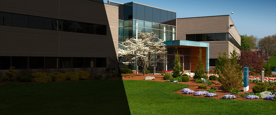 Cross Plains Landscapers